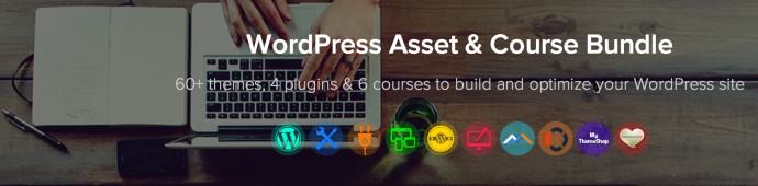 WordPress Bundle
