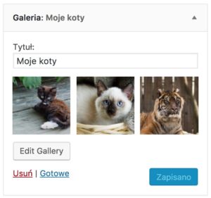 WordPres 4.9 - widget Galeria